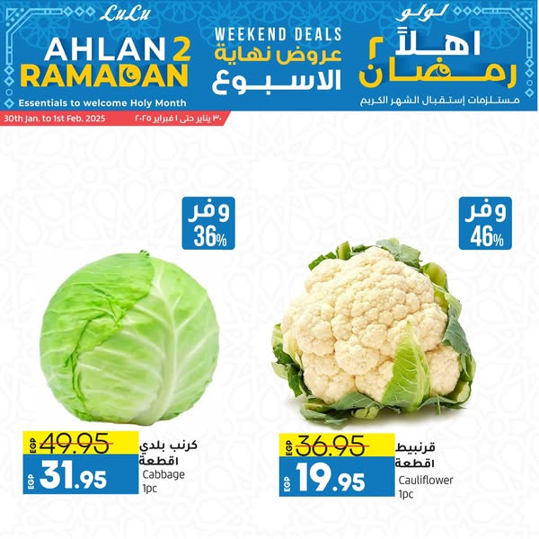 lulu-hypermarket offers from 29jan to 28feb 2025 عروض لولو هايبر ماركت من 29 يناير حتى 28 فبراير 2025 صفحة رقم 10